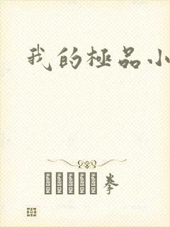 我的极品小姨