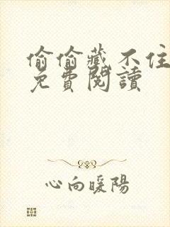 偷偷藏不住小说免费阅读