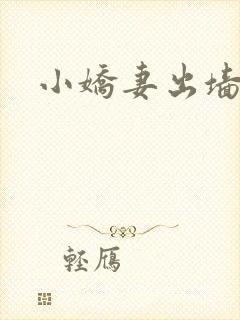 小娇妻出墙记