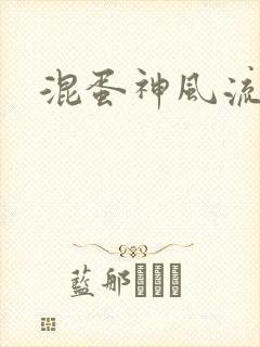 混蛋神风流