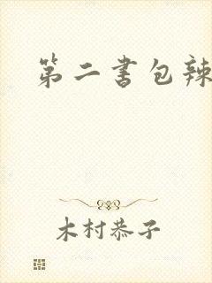 第二书包辣文