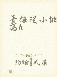 青梅从小做到大高h