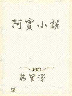 阿宾小说
