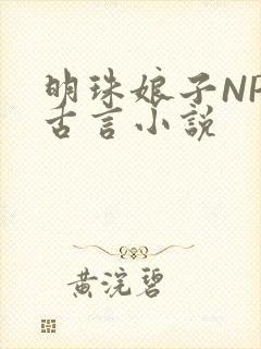 明珠娘子NPC古言小说