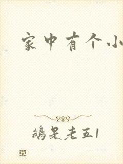 家中有个小姨子