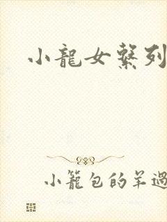 小龙女系列小说
