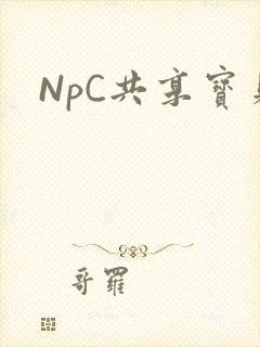 NpC共享宝贝