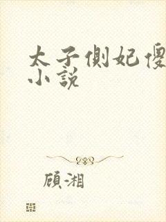 太子侧妃傻乎乎小说