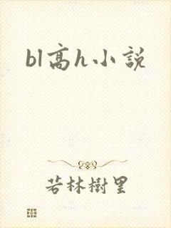 bl高h小说