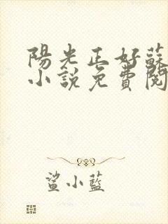 阳光正好苏玥玥小说免费阅读无弹窗