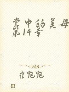 掌中的美母版主第14章