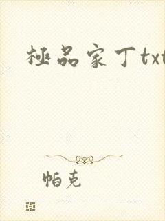 极品家丁txt