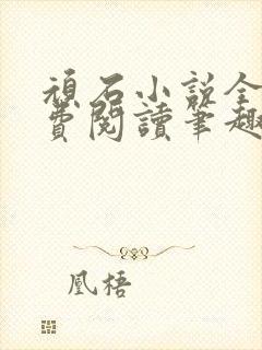 顽石小说全文免费阅读笔趣阁