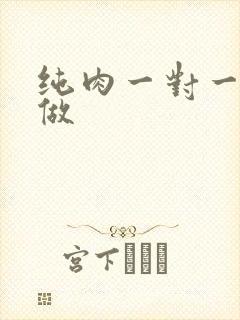 纯肉一对一到处做