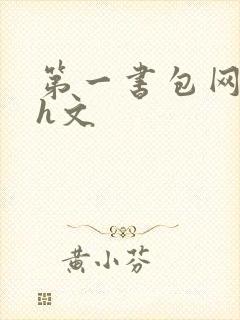 第一书包网高辣h文