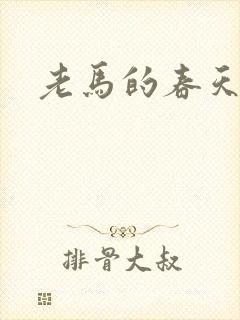 老马的春天敏静