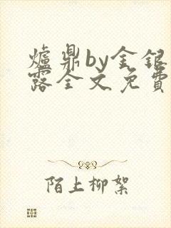 炉鼎by金银花露全文免费阅读笔趣阁