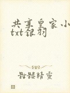 共享皇家小公主txt银羽