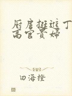 厨房挺进丁字裤高官贵妇