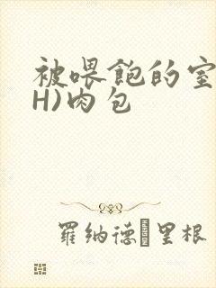 被喂饱的室友(H)肉包