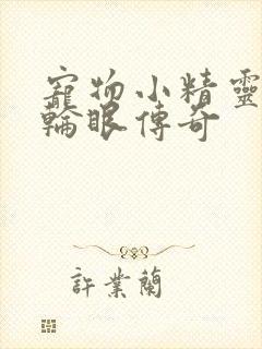 宠物小精灵之写轮眼传奇