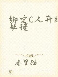 绑定C人升级系统后