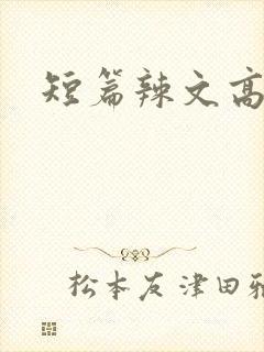 短篇辣文高h