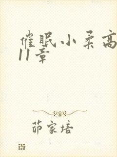 催眠小柔高达第11章