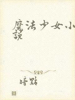 魔法少女小圆小说