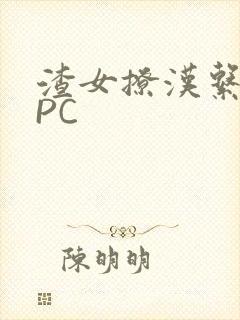 渣女撩汉系统NPC