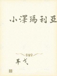 小泽玛利亚作品