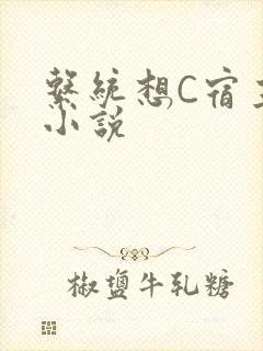 系统想C宿主的小说