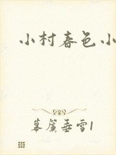 小村春色小说