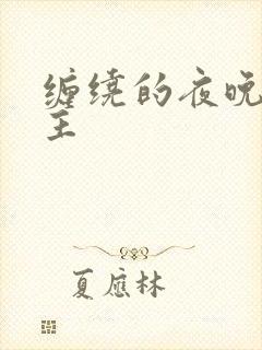 缠绕的夜晚双男主