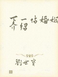 下一站婚姻剧情介绍