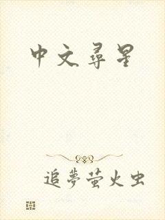 中文寻星