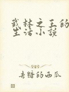 武林之王的退隐生活小说