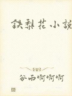 铁梨花小说
