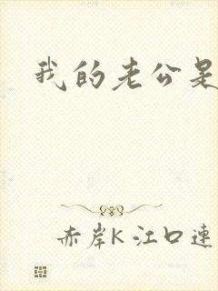 我的老公是军阀