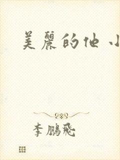 美丽的他 小说