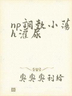 np调教小荡货h灌尿