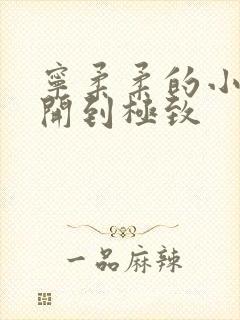 宁柔柔的小泬撑开到极致