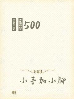 С˵500