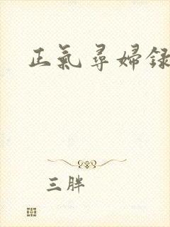 正气寻妇录