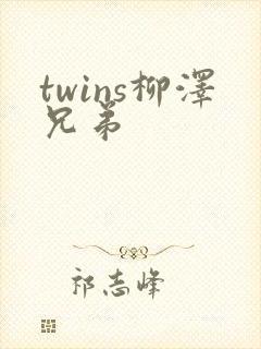 twins柳泽兄弟