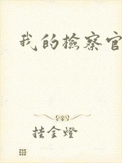 我的检察官先生