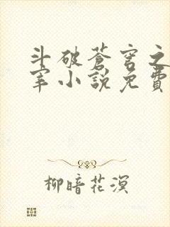 斗破苍穹之大主宰小说免费阅读全文