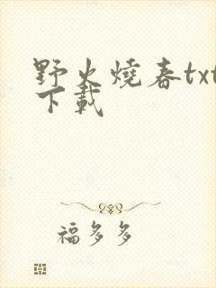 野火烧春txt下载