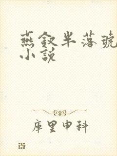 燕钗半落琥珀糖小说