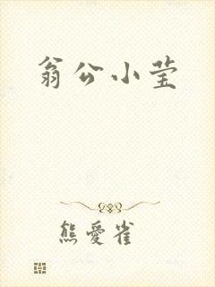 翁公小莹